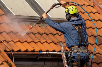 Démoussage et hydrofuge de toiture à Brando